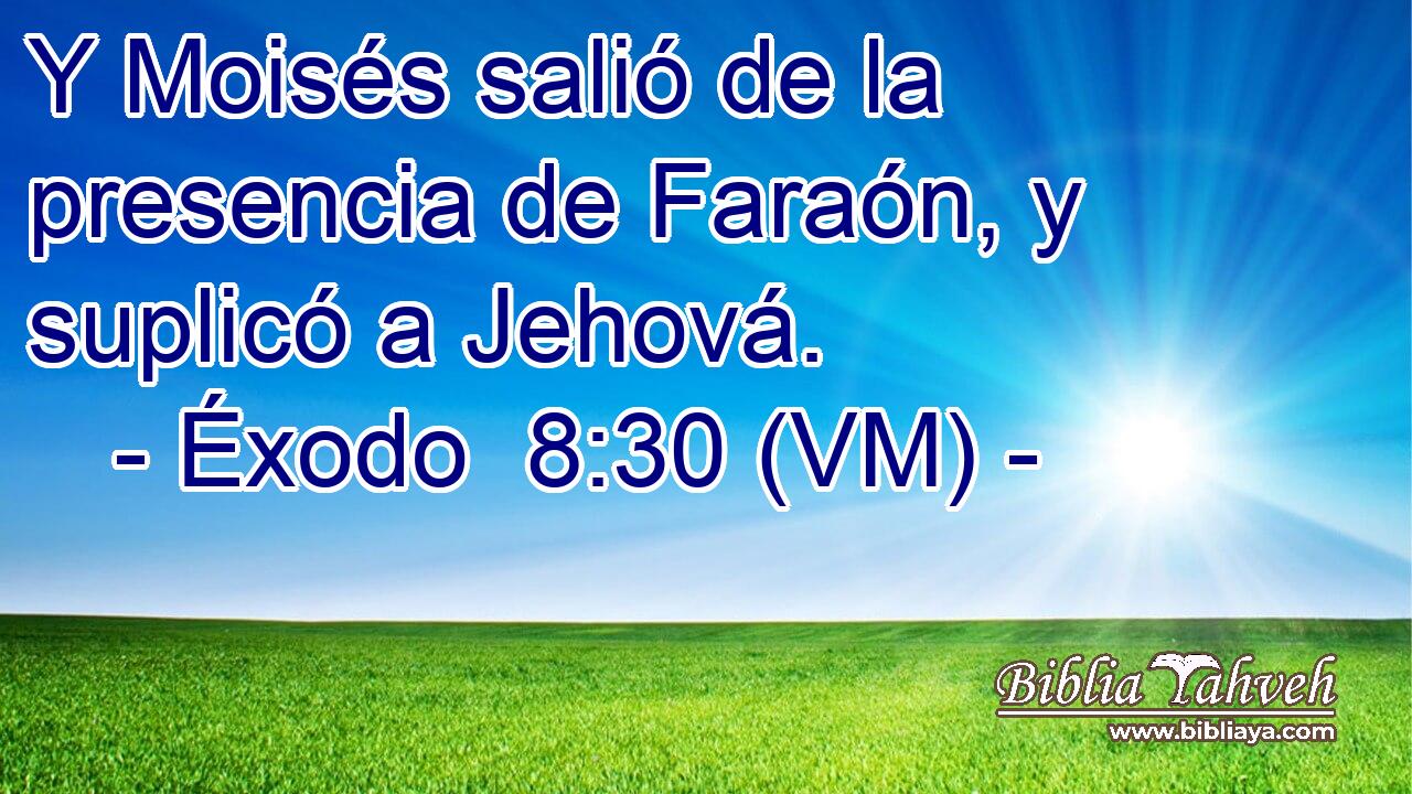  Y Moisés salió de la presencia de Faraón, y suplicó a Jehová. 