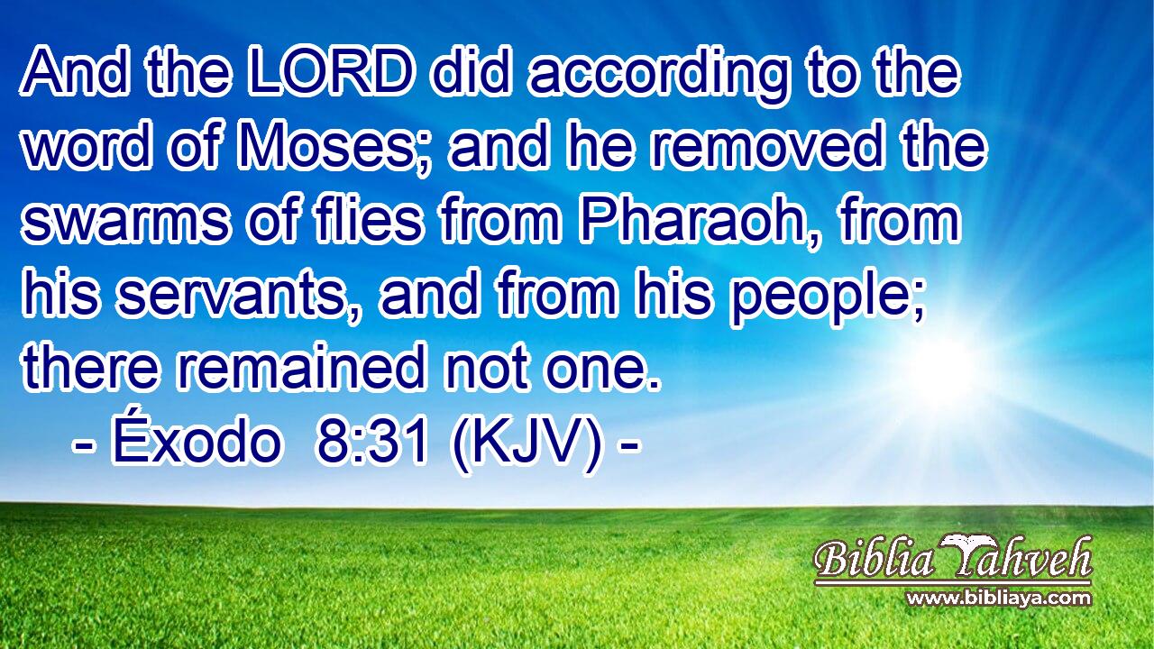 And the LORD did according to the word of Moses; and he removed the swarms of flies from Pharaoh, from his servants, and from his people; there remained not one.