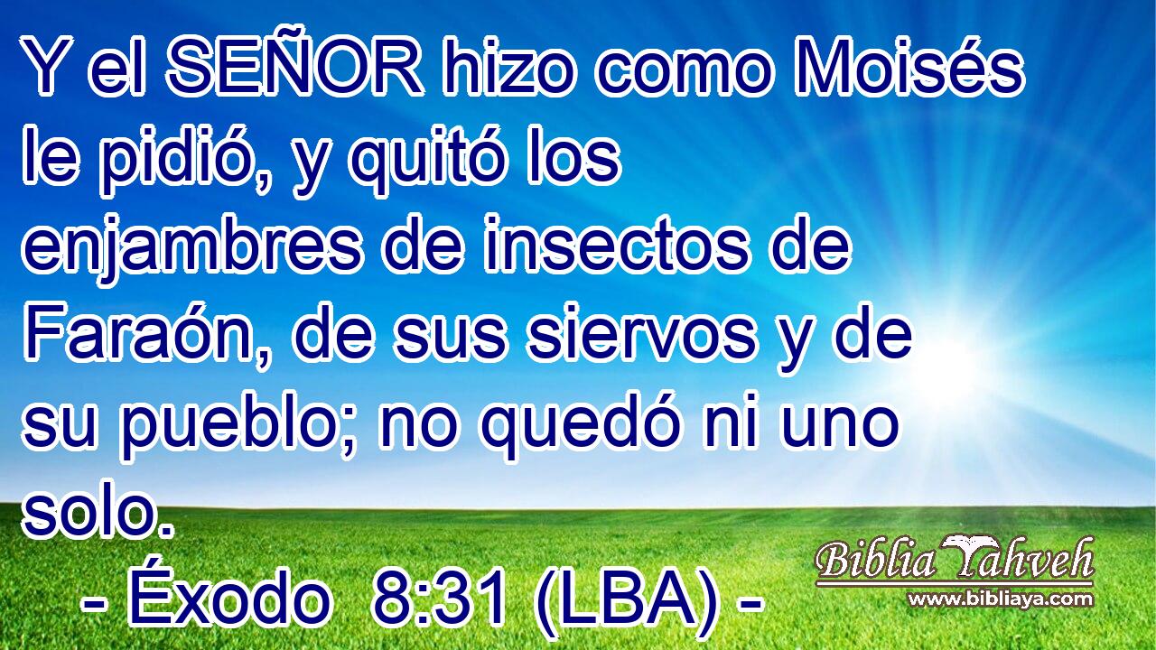 Y el SEÑOR hizo como Moisés le pidió, y quitó los enjambres de insectos de Faraón, de sus siervos y de su pueblo; no quedó ni uno solo.