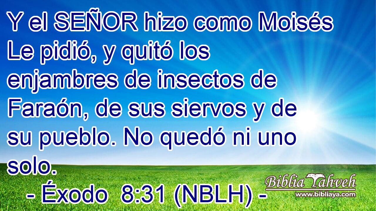  Y el SEÑOR hizo como Moisés Le pidió, y quitó los enjambres de insectos de Faraón, de sus siervos y de su pueblo. No quedó ni uno solo. 