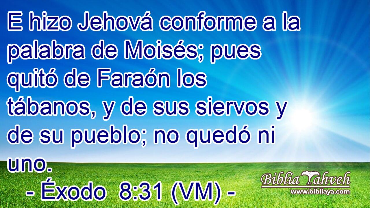  E hizo Jehová conforme a la palabra de Moisés; pues quitó de Faraón los tábanos, y de sus siervos y de su pueblo; no quedó ni uno. 