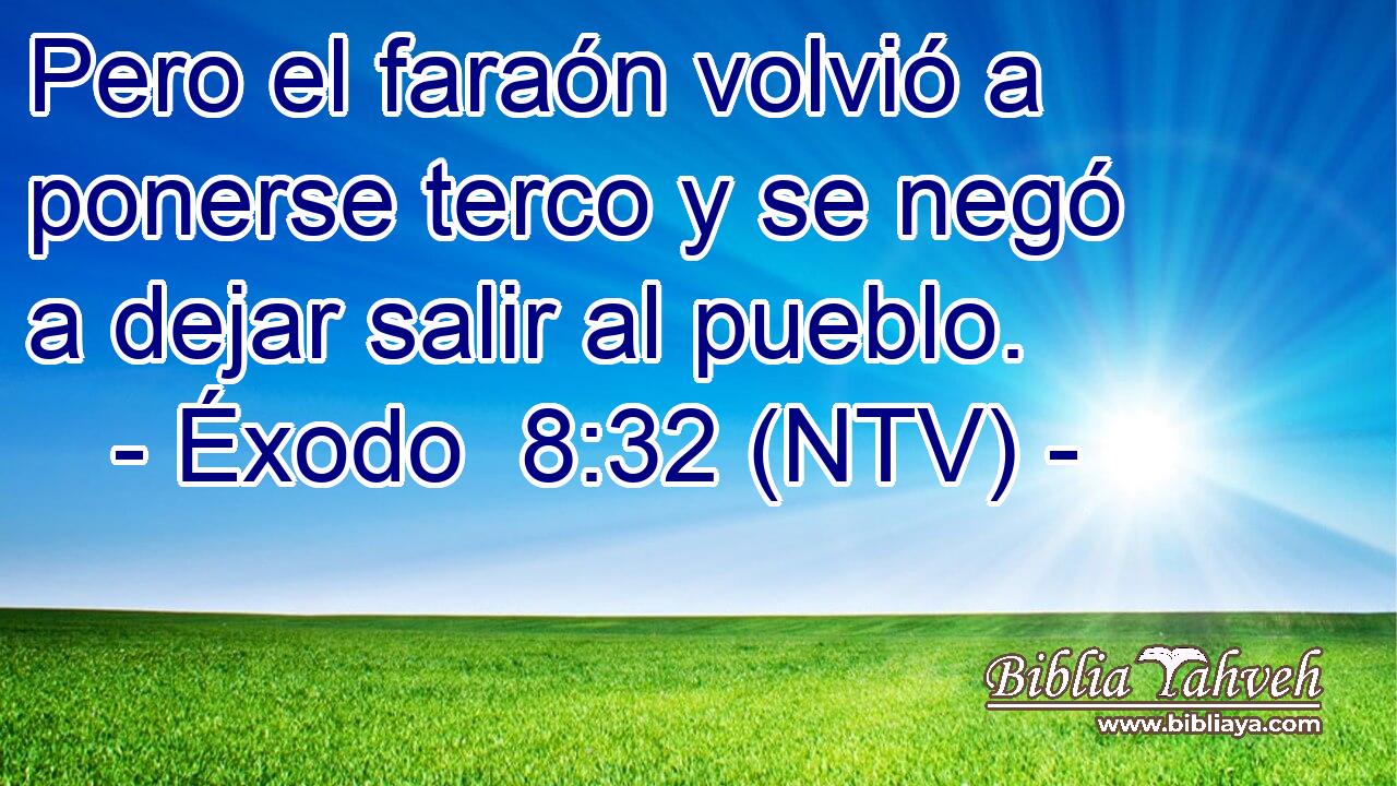 Pero el faraón volvió a ponerse terco y se negó a dejar salir al pueblo.