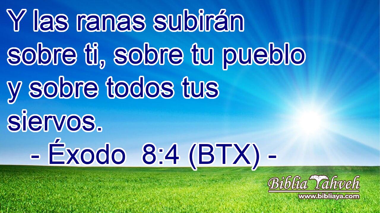 Y las ranas subirán sobre ti, sobre tu pueblo y sobre todos tus siervos.