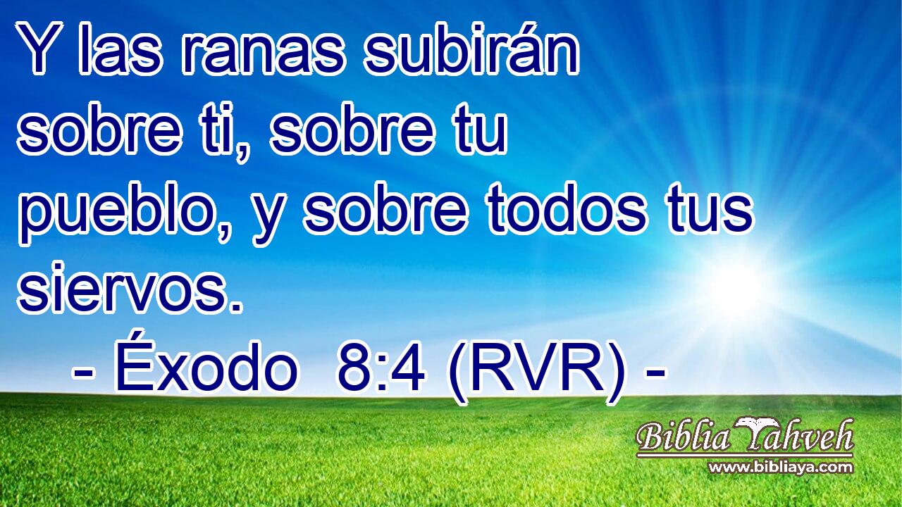 Y las ranas subirán sobre ti, sobre tu pueblo, y sobre todos tus siervos.