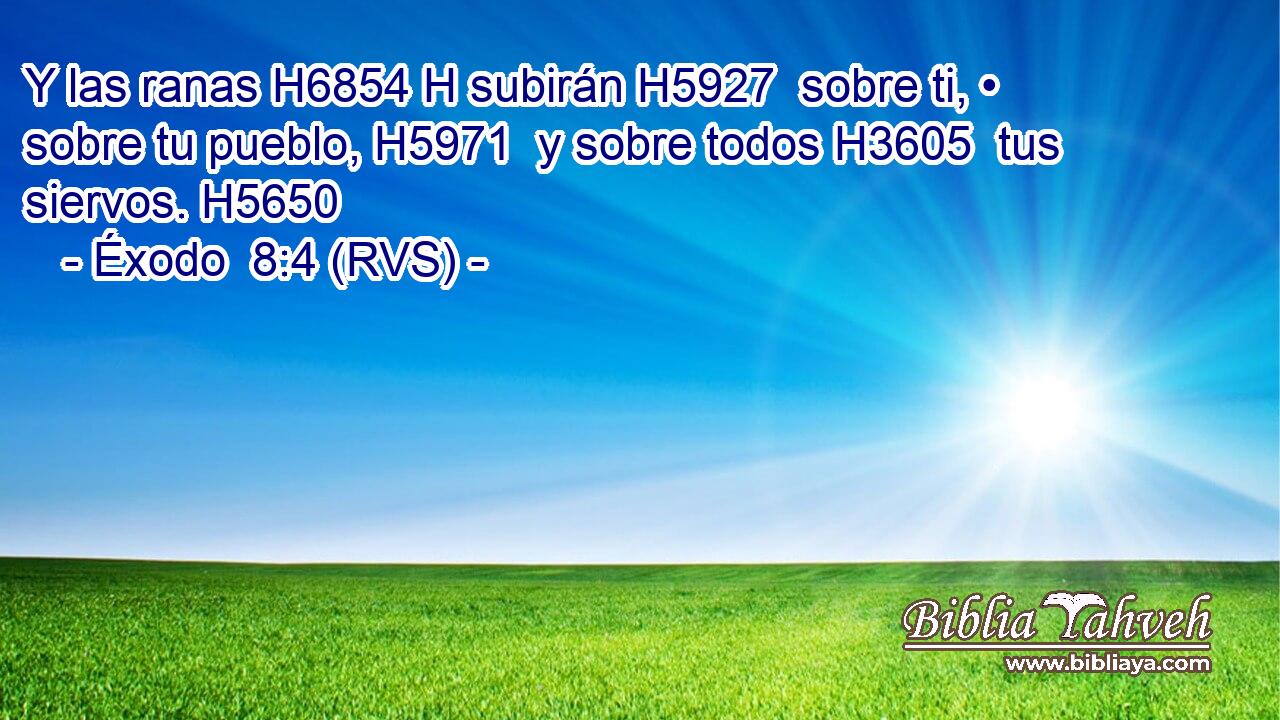 Y las ranas H6854 H subirán H5927  sobre ti, • sobre tu pueblo, H5971  y sobre todos H3605  tus siervos. H5650  