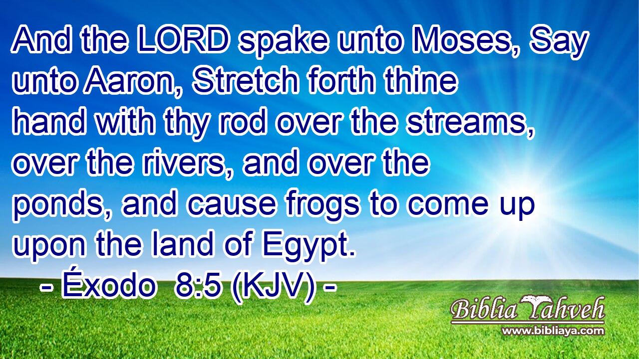 And the LORD spake unto Moses, Say unto Aaron, Stretch forth thine hand with thy rod over the streams, over the rivers, and over the ponds, and cause frogs to come up upon the land of Egypt.