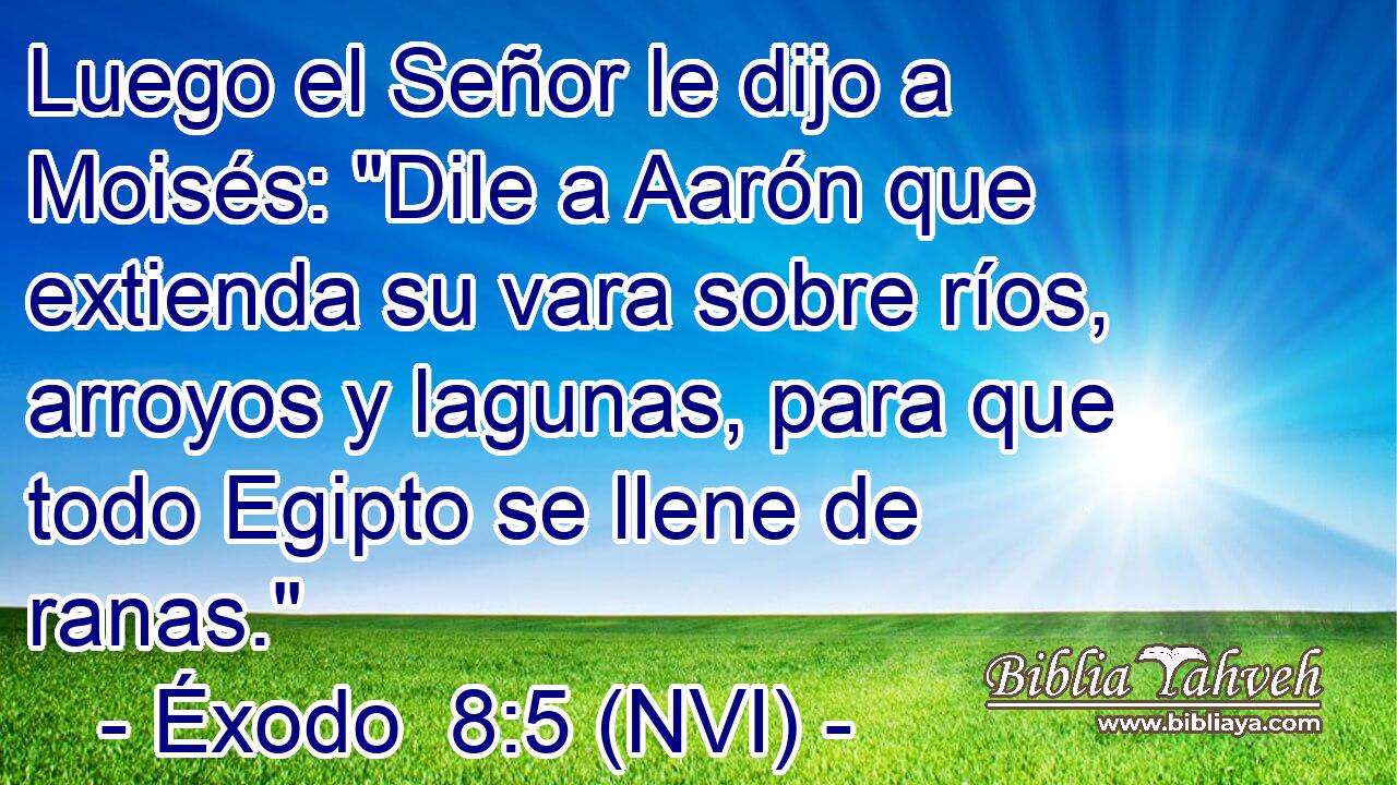  Luego el Señor le dijo a Moisés: 