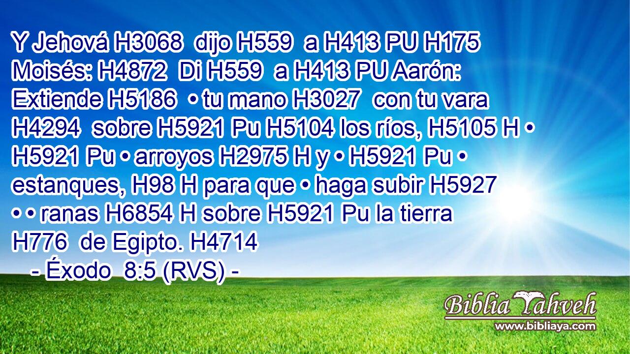 Y Jehová H3068  dijo H559  a H413 PU H175 Moisés: H4872  Di H559  a H413 PU Aarón: Extiende H5186  • tu mano H3027  con tu vara H4294  sobre H5921 Pu H5104 los ríos, H5105 H • H5921 Pu • arroyos H2975 H y • H5921 Pu • estanques, H98 H para que • haga subir H5927  • • ranas H6854 H sobre H5921 Pu la tierra H776  de Egipto. H4714  