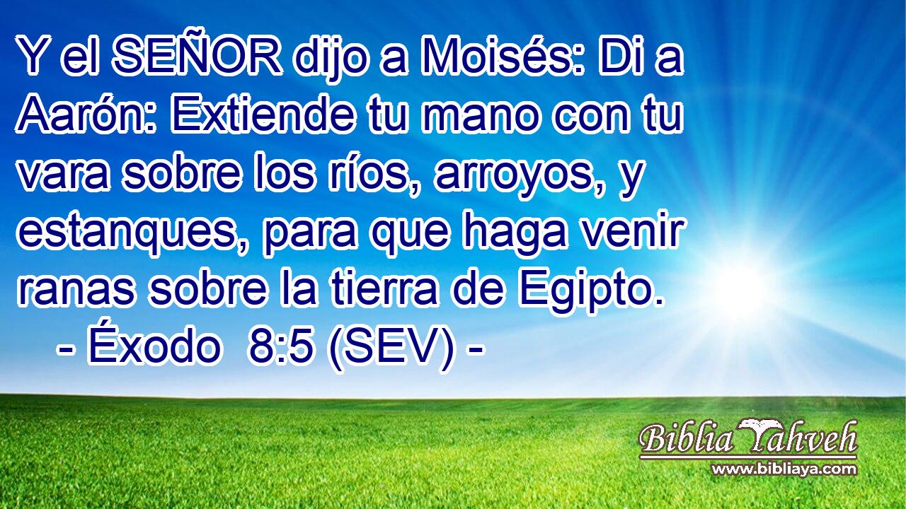 Y el SEÑOR dijo a Moisés: Di a Aarón: Extiende tu mano con tu vara sobre los ríos, arroyos, y estanques, para que haga venir ranas sobre la tierra de Egipto.