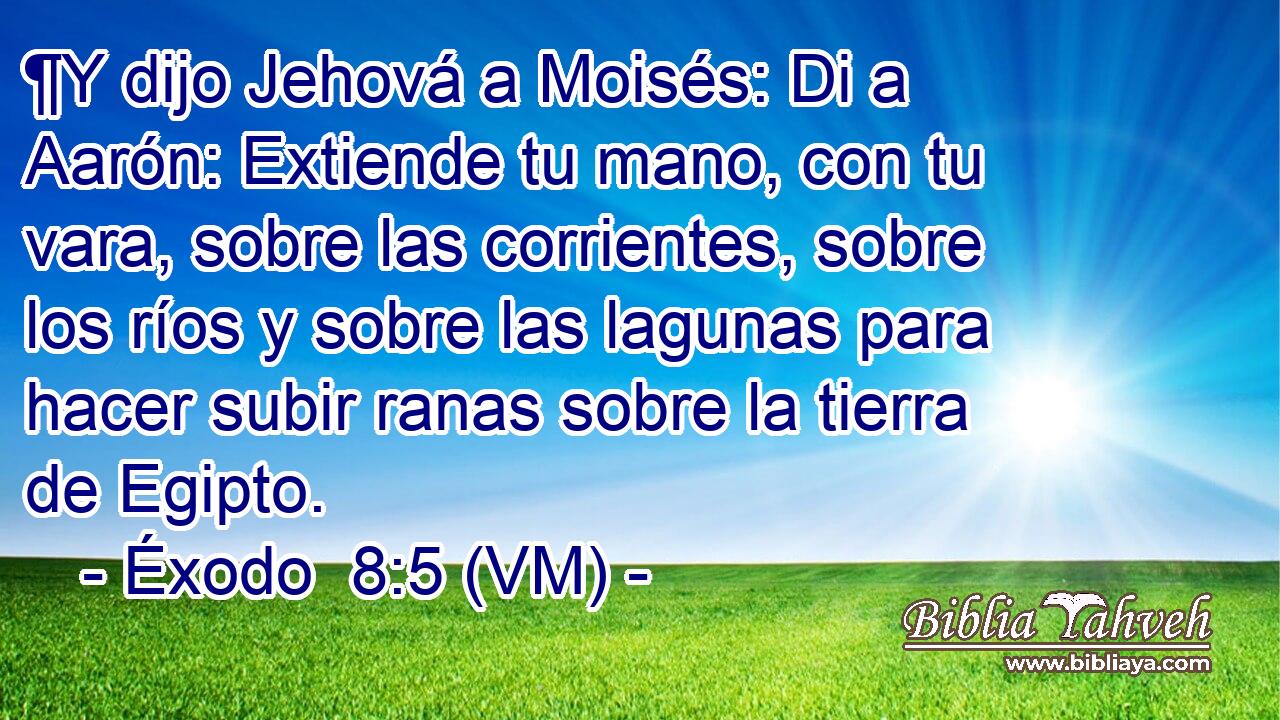  ¶Y dijo Jehová a Moisés: Di a Aarón: Extiende tu mano, con tu vara, sobre las corrientes, sobre los ríos y sobre las lagunas para hacer subir ranas sobre la tierra de Egipto. 