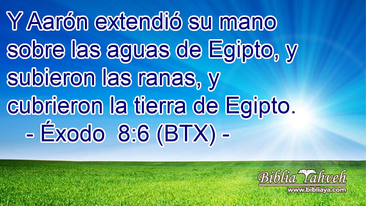 Y Aarón extendió su mano sobre las aguas de Egipto, y subieron las ranas, y cubrieron la tierra de Egipto.