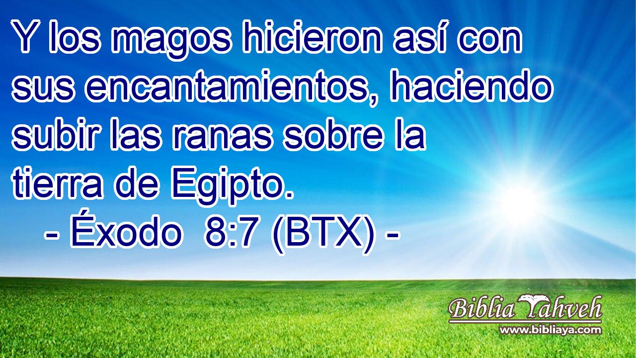 Y los magos hicieron así con sus encantamientos, haciendo subir las ranas sobre la tierra de Egipto.