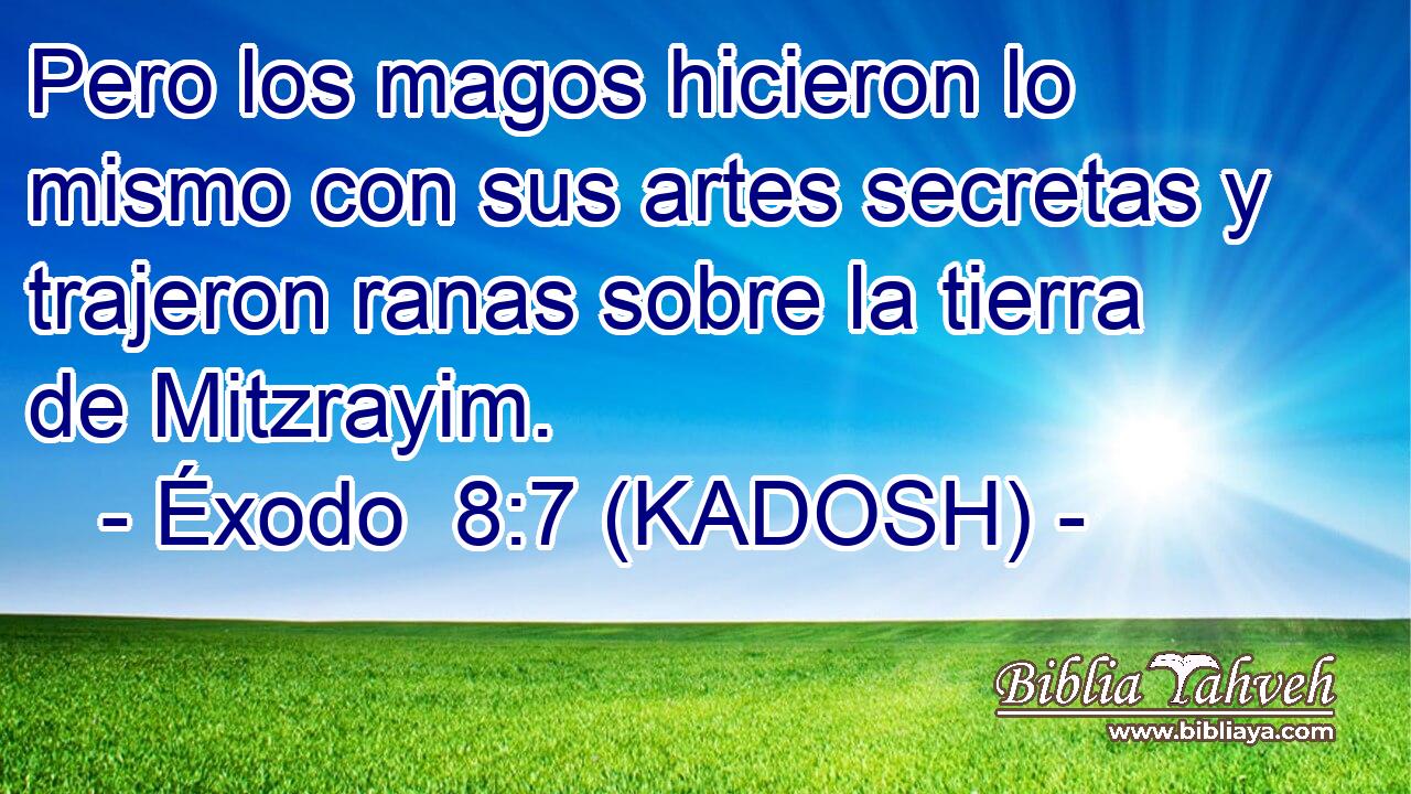  Pero los magos hicieron lo mismo con sus artes secretas y trajeron ranas sobre la tierra de Mitzrayim. 