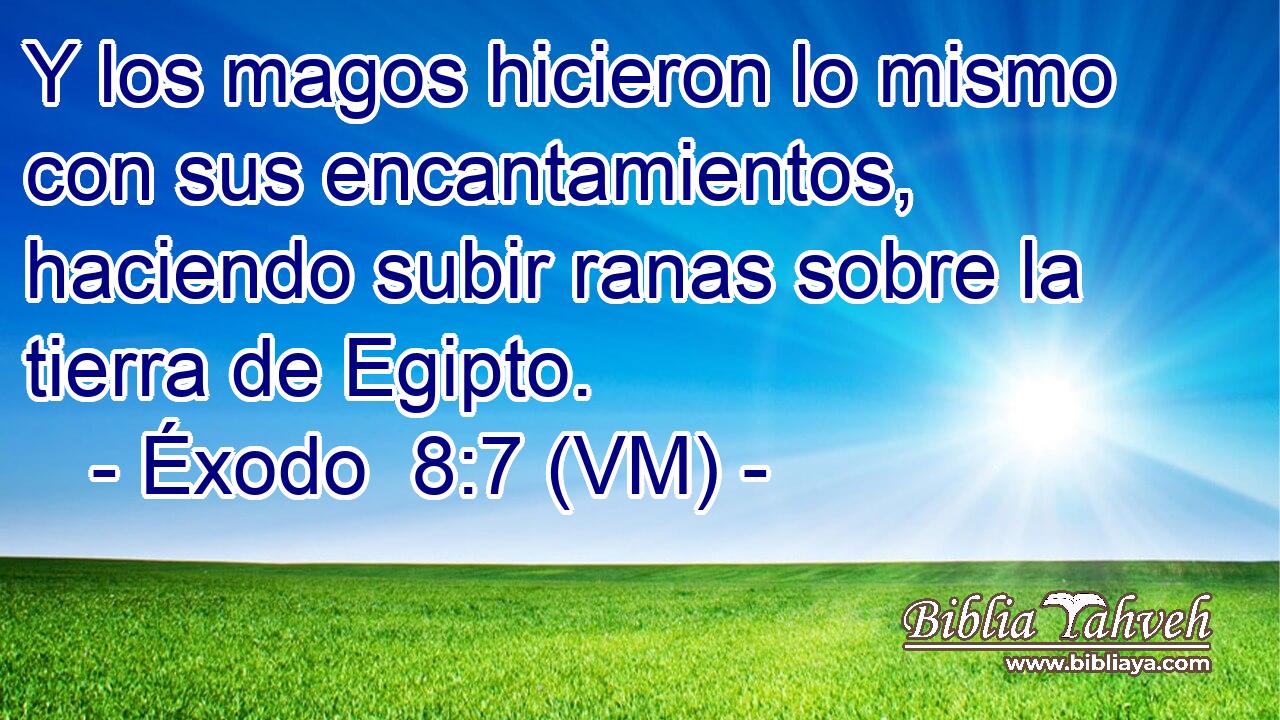  Y los magos hicieron lo mismo con sus encantamientos, haciendo subir ranas sobre la tierra de Egipto. 
