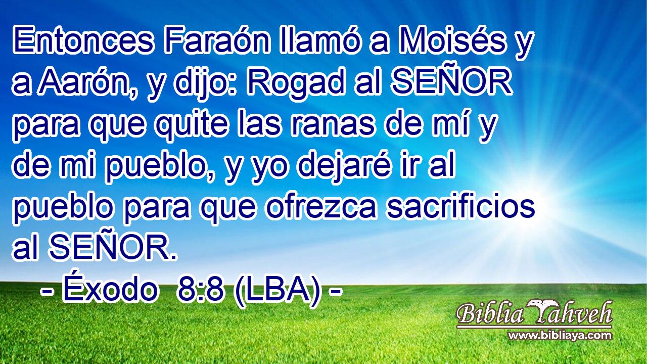 Entonces Faraón llamó a Moisés y a Aarón, y dijo: Rogad al SEÑOR para que quite las ranas de mí y de mi pueblo, y yo dejaré ir al pueblo para que ofrezca sacrificios al SEÑOR.