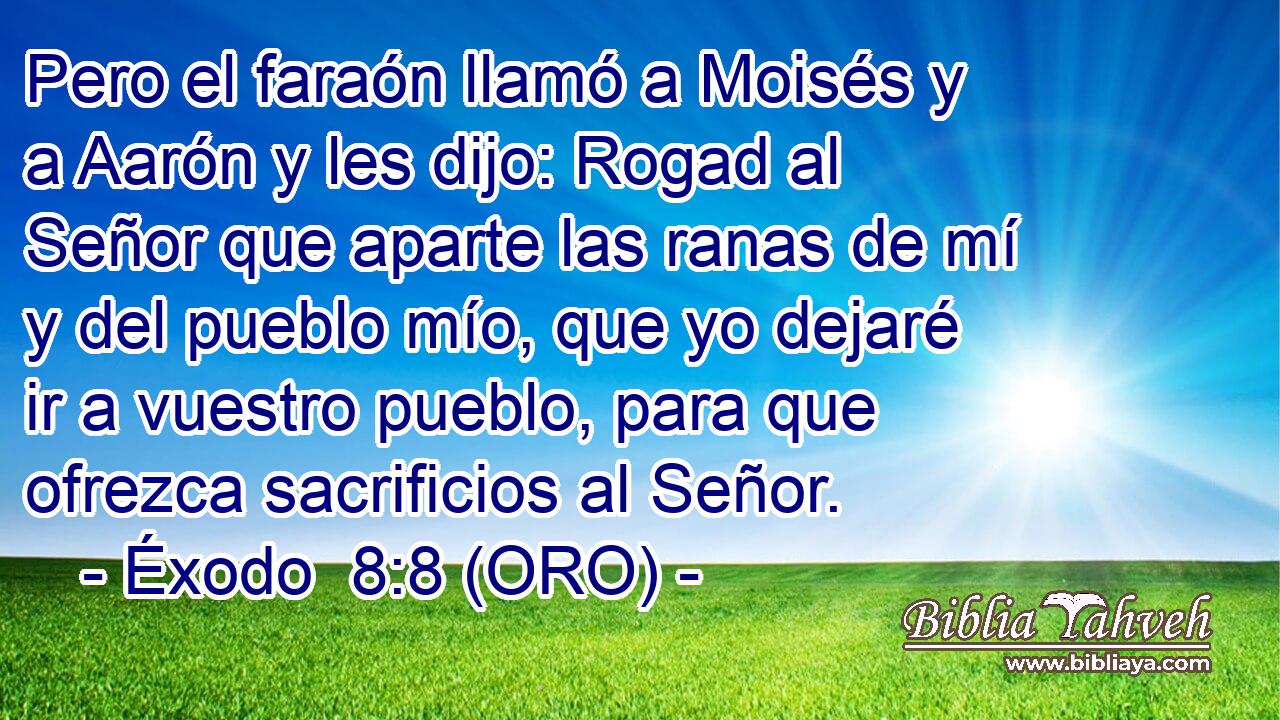  Pero el faraón llamó a Moisés y a Aarón y les dijo: Rogad al Señor que aparte las ranas de mí y del pueblo mío, que yo dejaré ir a vuestro pueblo, para que ofrezca sacrificios al Señor. 