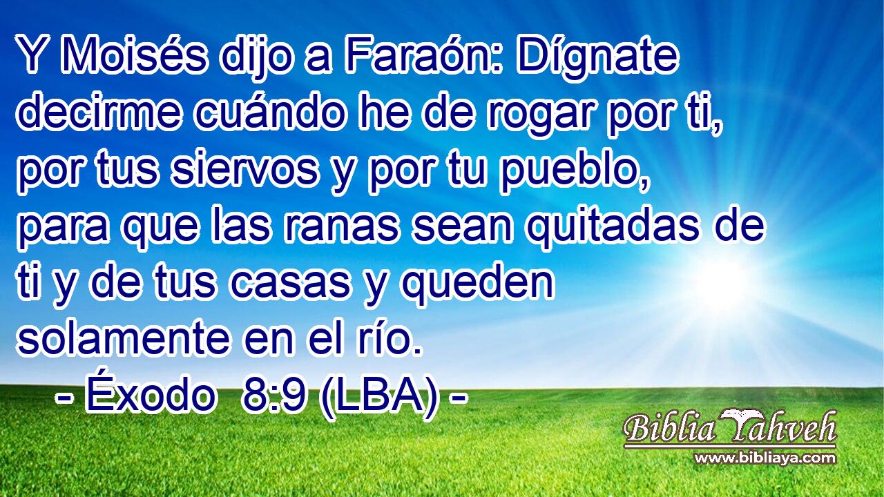 Y Moisés dijo a Faraón: Dígnate decirme cuándo he de rogar por ti, por tus siervos y por tu pueblo, para que las ranas sean quitadas de ti y de tus casas y queden solamente en el río.