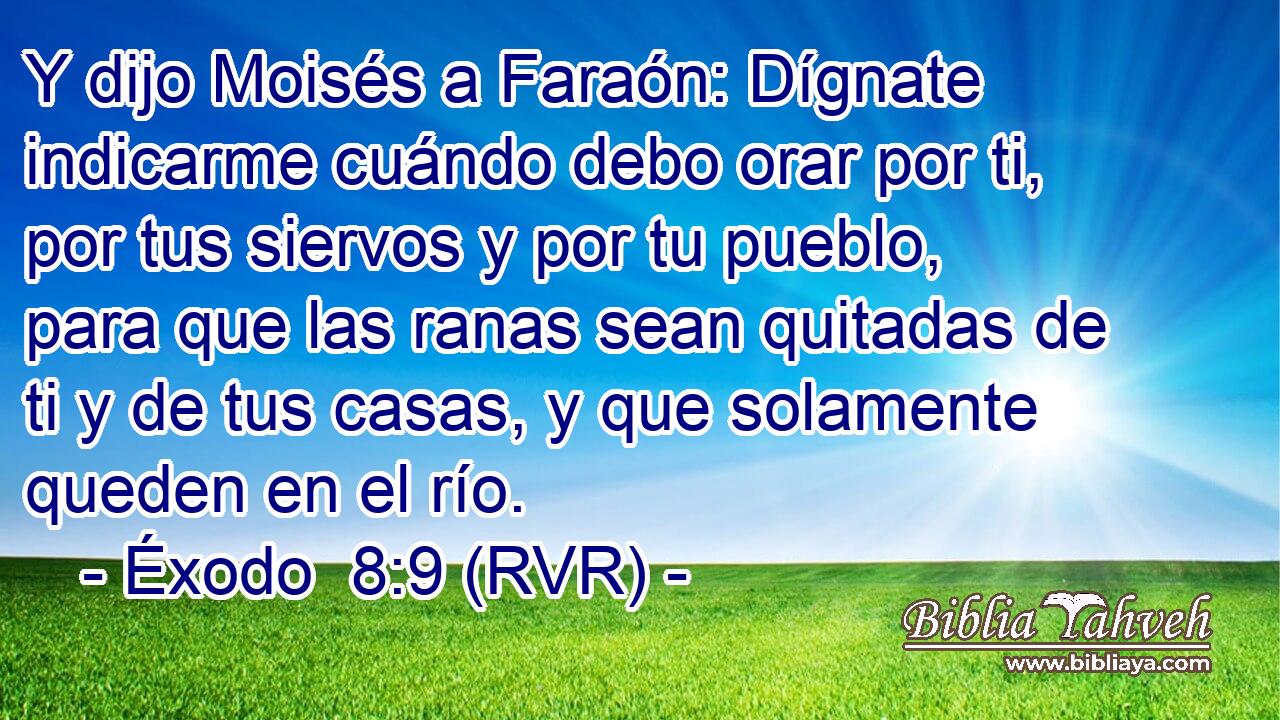 Y dijo Moisés a Faraón: Dígnate indicarme cuándo debo orar por ti, por tus siervos y por tu pueblo, para que las ranas sean quitadas de ti y de tus casas, y que solamente queden en el río.