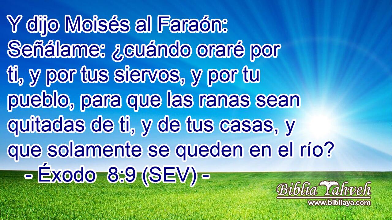 Y dijo Moisés al Faraón: Señálame: ¿cuándo oraré por ti, y por tus siervos, y por tu pueblo, para que las ranas sean quitadas de ti, y de tus casas, y que solamente se queden en el río?