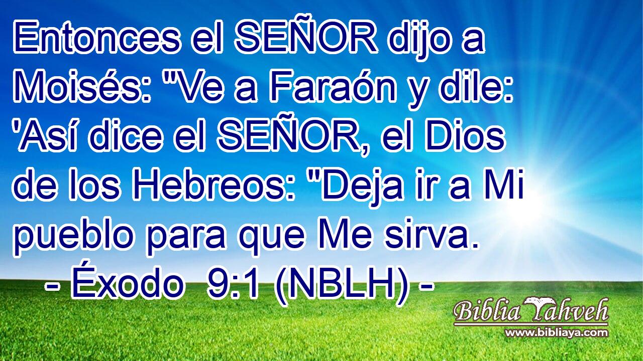  Entonces el SEÑOR dijo a Moisés: 
