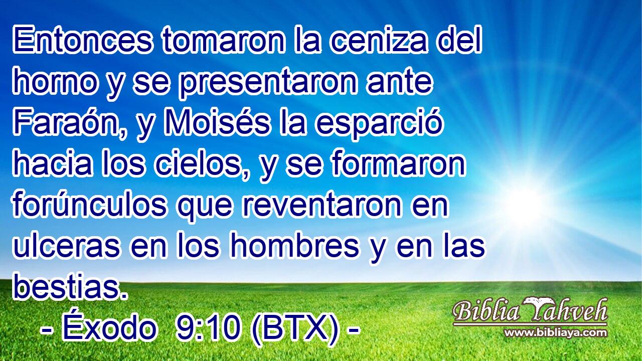 Entonces tomaron la ceniza del horno y se presentaron ante Faraón, y Moisés la esparció hacia los cielos, y se formaron forúnculos que reventaron en ulceras en los hombres y en las bestias.