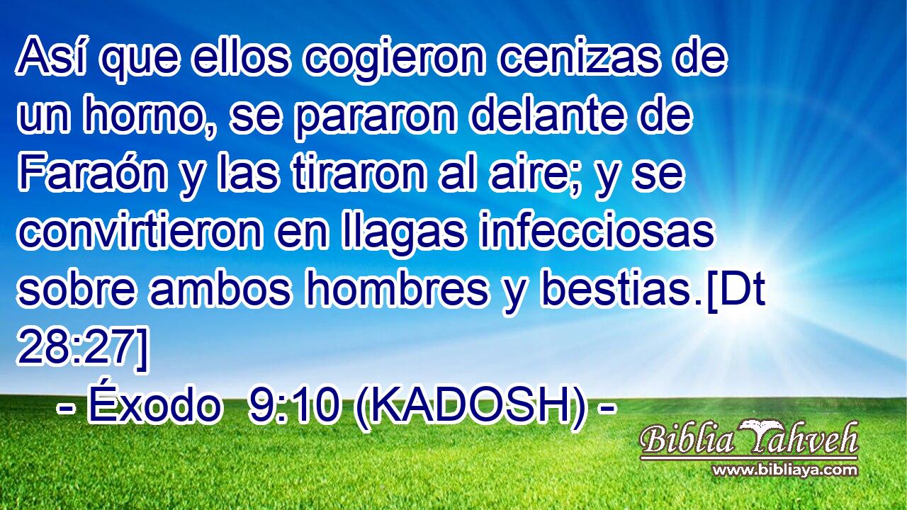  Así que ellos cogieron cenizas de un horno, se pararon delante de Faraón y las tiraron al aire; y se convirtieron en llagas infecciosas sobre ambos hombres y bestias.[Dt 28:27] 