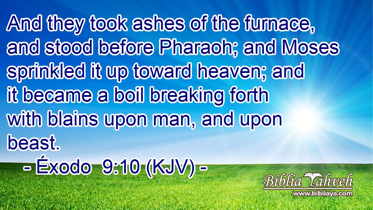 And they took ashes of the furnace, and stood before Pharaoh; and Moses sprinkled it up toward heaven; and it became a boil breaking forth with blains upon man, and upon beast.