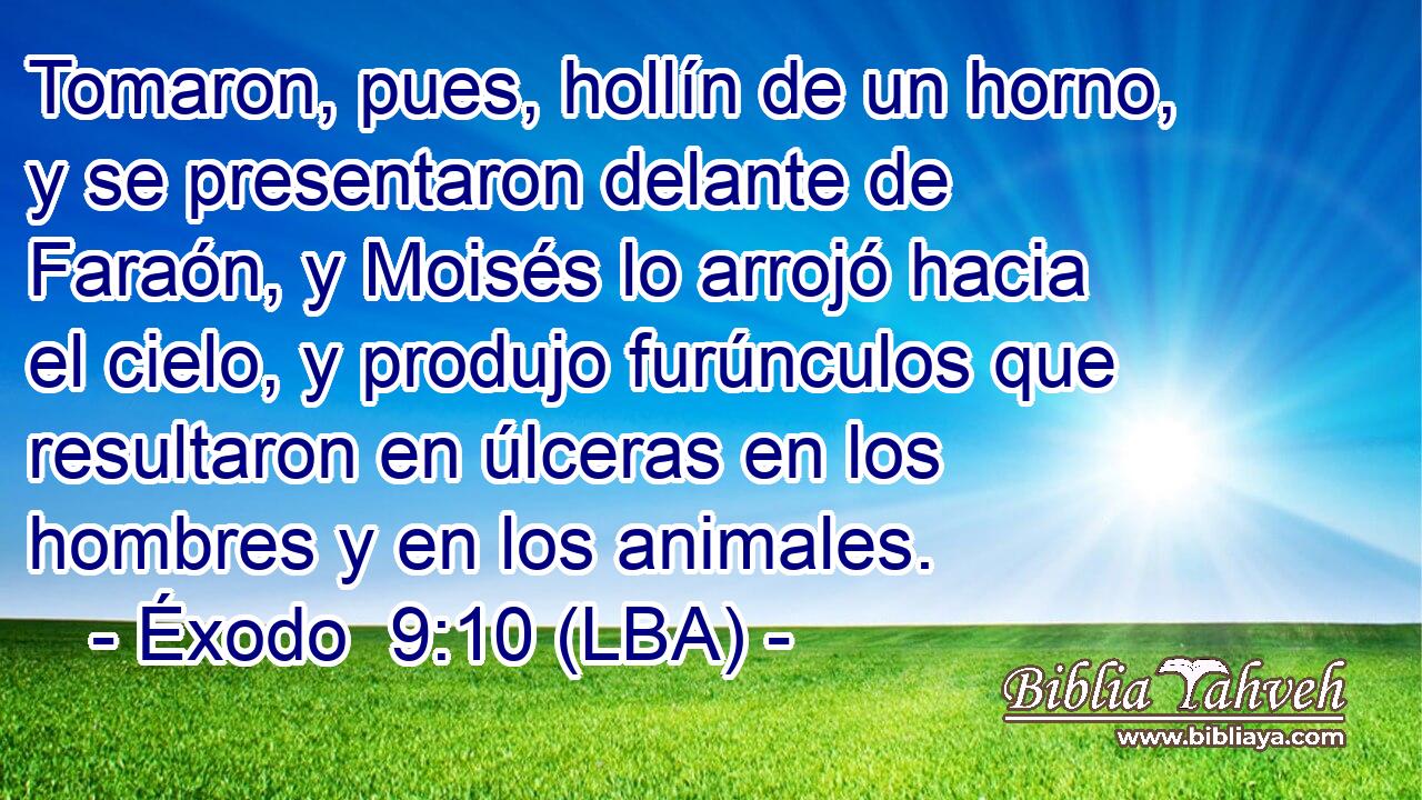 Tomaron, pues, hollín de un horno, y se presentaron delante de Faraón, y Moisés lo arrojó hacia el cielo, y produjo furúnculos que resultaron en úlceras en los hombres y en los animales.