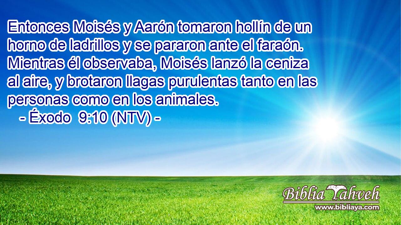 Entonces Moisés y Aarón tomaron hollín de un horno de ladrillos y se pararon ante el faraón. Mientras él observaba, Moisés lanzó la ceniza al aire, y brotaron llagas purulentas tanto en las personas como en los animales.