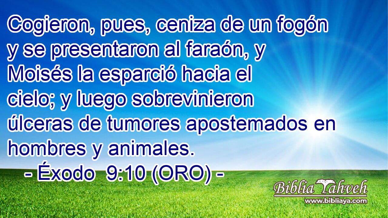  Cogieron, pues, ceniza de un fogón y se presentaron al faraón, y Moisés la esparció hacia el cielo; y luego sobrevinieron úlceras de tumores apostemados en hombres y animales. 