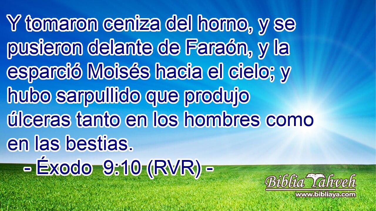 Y tomaron ceniza del horno, y se pusieron delante de Faraón, y la esparció Moisés hacia el cielo; y hubo sarpullido que produjo úlceras tanto en los hombres como en las bestias.