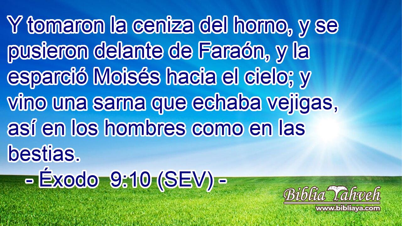Y tomaron la ceniza del horno, y se pusieron delante de Faraón, y la esparció Moisés hacia el cielo; y vino una sarna que echaba vejigas, así en los hombres como en las bestias.