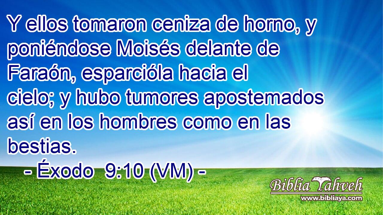 Y ellos tomaron ceniza de horno, y poniéndose Moisés delante de Faraón, esparcióla hacia el cielo; y hubo tumores apostemados así en los hombres como en las bestias. 