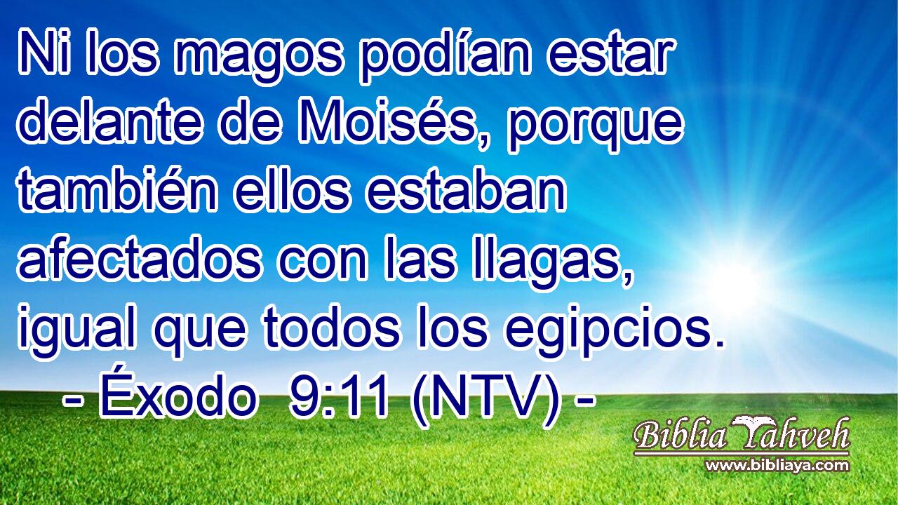 Ni los magos podían estar delante de Moisés, porque también ellos estaban afectados con las llagas, igual que todos los egipcios.