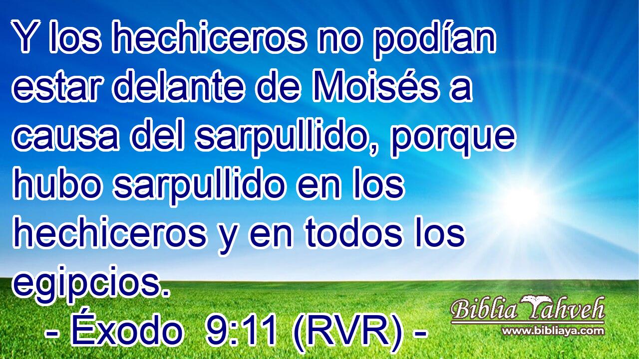 Y los hechiceros no podían estar delante de Moisés a causa del sarpullido, porque hubo sarpullido en los hechiceros y en todos los egipcios.