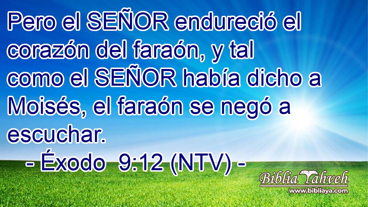 Pero el SEÑOR endureció el corazón del faraón, y tal como el SEÑOR había dicho a Moisés, el faraón se negó a escuchar.