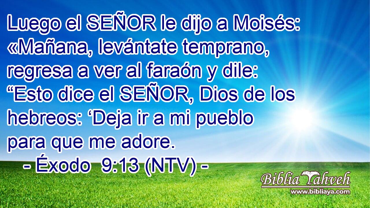 Luego el SEÑOR le dijo a Moisés: «Mañana, levántate temprano, regresa a ver al faraón y dile: “Esto dice el SEÑOR, Dios de los hebreos: ‘Deja ir a mi pueblo para que me adore.