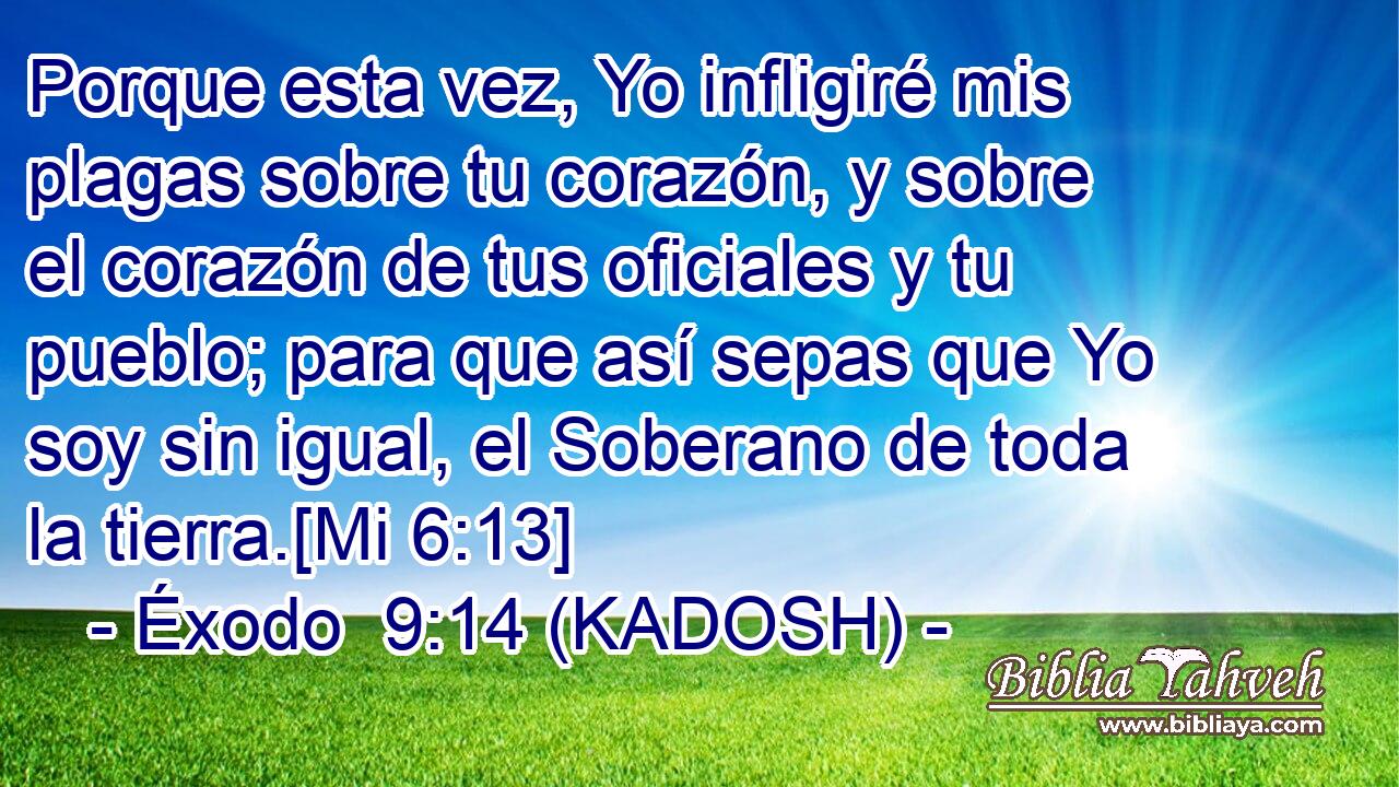  Porque esta vez, Yo infligiré mis plagas sobre tu corazón, y sobre el corazón de tus oficiales y tu pueblo; para que así sepas que Yo soy sin igual, el Soberano de toda la tierra.[Mi 6:13] 