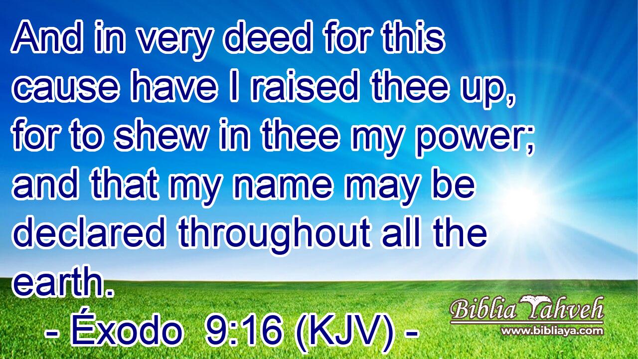 And in very deed for this cause have I raised thee up, for to shew in thee my power; and that my name may be declared throughout all the earth.