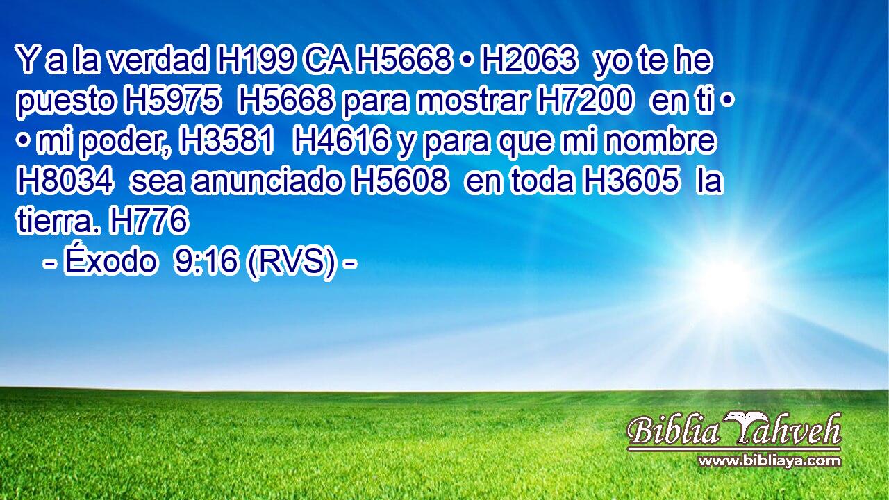 Y a la verdad H199 CA H5668 • H2063  yo te he puesto H5975  H5668 para mostrar H7200  en ti • • mi poder, H3581  H4616 y para que mi nombre H8034  sea anunciado H5608  en toda H3605  la tierra. H776  