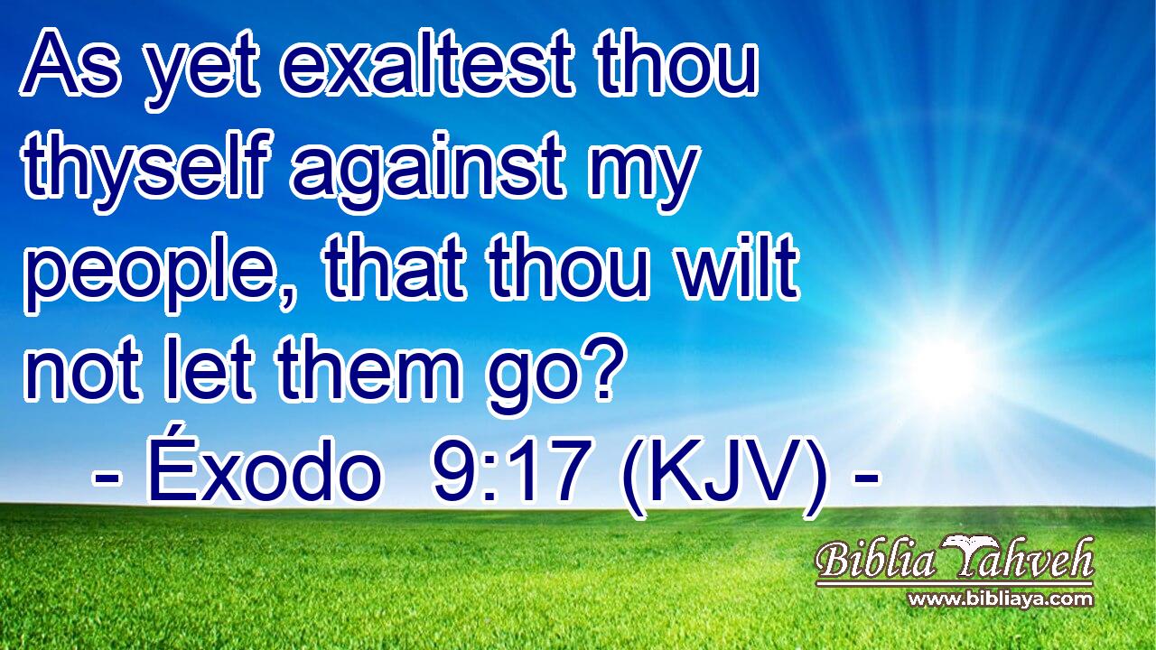 As yet exaltest thou thyself against my people, that thou wilt not let them go?