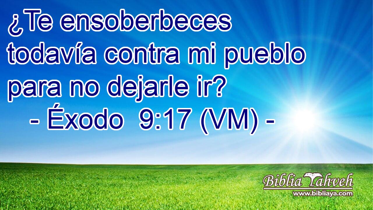  ¿Te ensoberbeces todavía contra mi pueblo para no dejarle ir? 