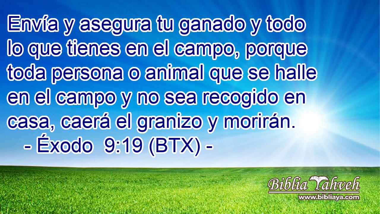 Envía y asegura tu ganado y todo lo que tienes en el campo, porque toda persona o animal que se halle en el campo y no sea recogido en casa, caerá el granizo y morirán.