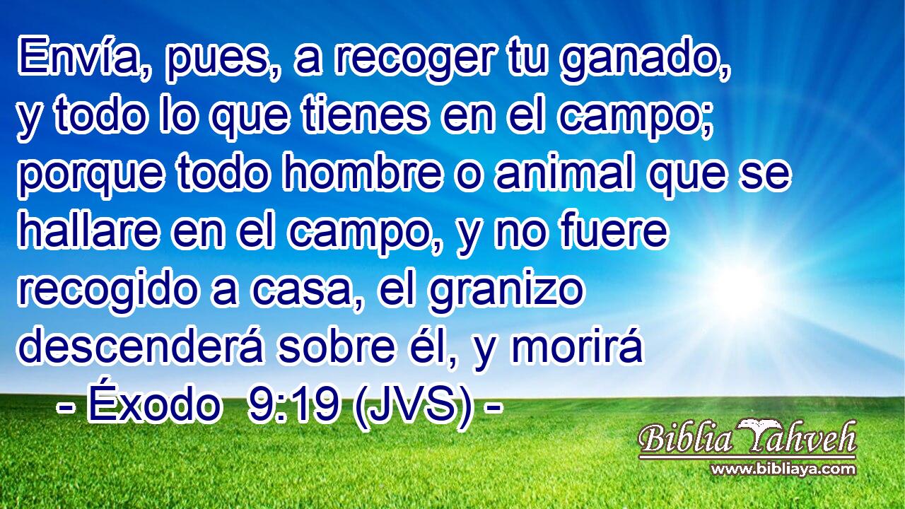 Envía, pues, a recoger tu ganado, y todo lo que tienes en el campo; porque todo hombre o animal que se hallare en el campo, y no fuere recogido a casa, el granizo descenderá sobre él, y morirá