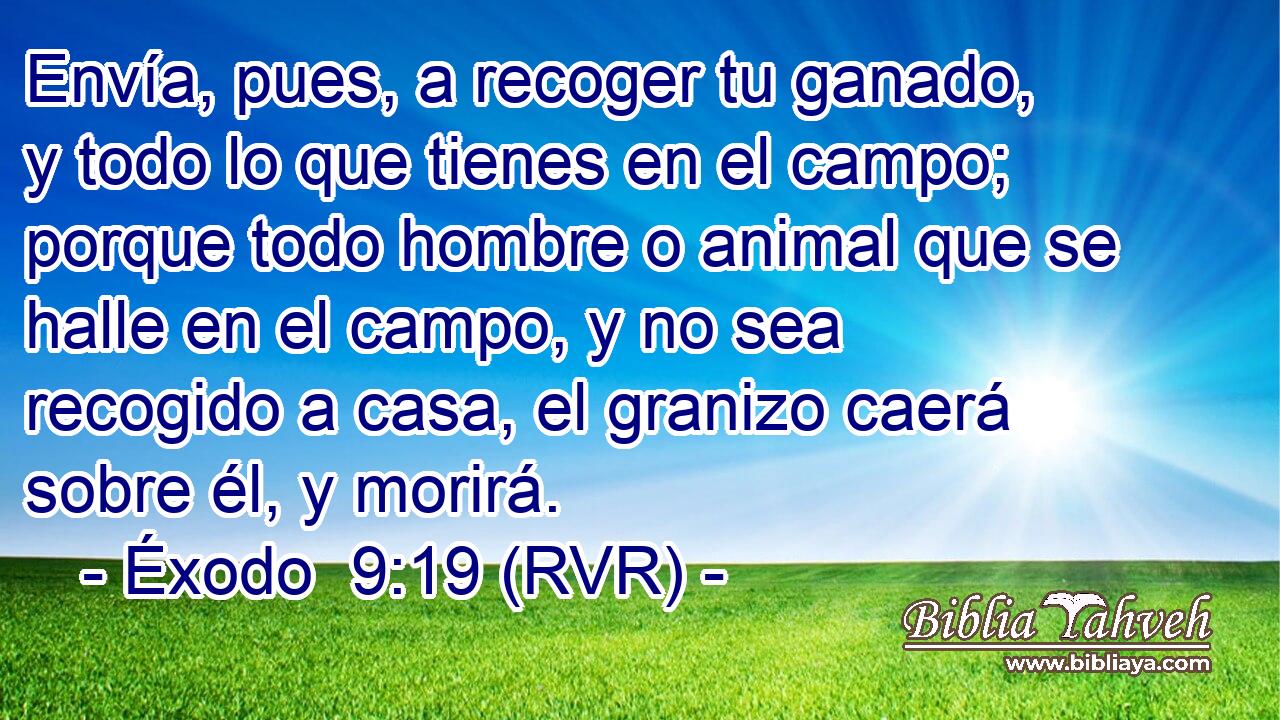 Envía, pues, a recoger tu ganado, y todo lo que tienes en el campo; porque todo hombre o animal que se halle en el campo, y no sea recogido a casa, el granizo caerá sobre él, y morirá.