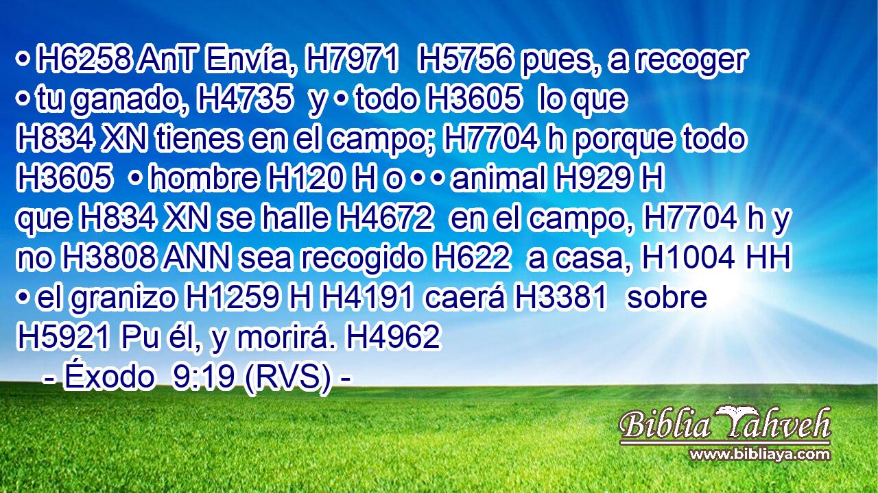 • H6258 AnT Envía, H7971  H5756 pues, a recoger • tu ganado, H4735  y • todo H3605  lo que H834 XN tienes en el campo; H7704 h porque todo H3605  • hombre H120 H o • • animal H929 H que H834 XN se halle H4672  en el campo, H7704 h y no H3808 ANN sea recogido H622  a casa, H1004 HH • el granizo H1259 H H4191 caerá H3381  sobre H5921 Pu él, y morirá. H4962  