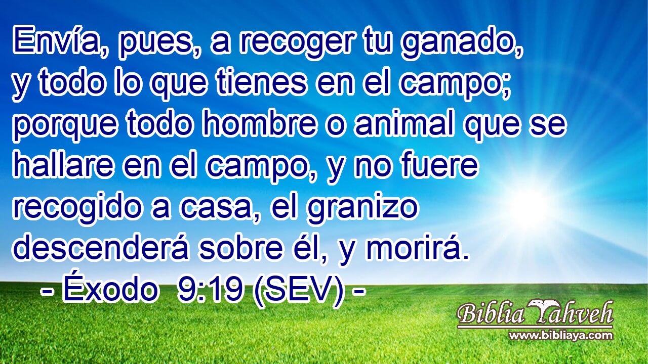 Envía, pues, a recoger tu ganado, y todo lo que tienes en el campo; porque todo hombre o animal que se hallare en el campo, y no fuere recogido a casa, el granizo descenderá sobre él, y morirá.