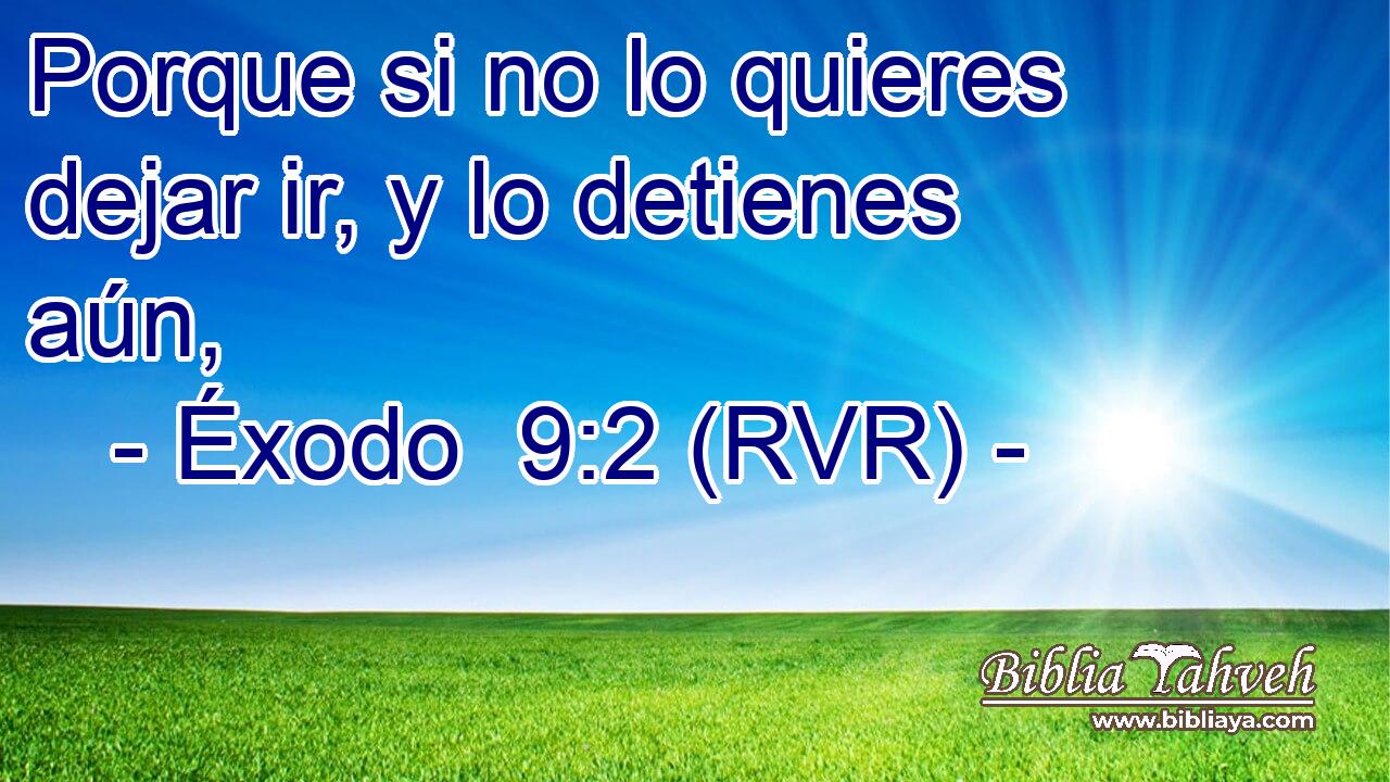 Porque si no lo quieres dejar ir, y lo detienes aún,