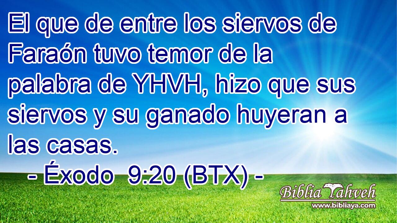 El que de entre los siervos de Faraón tuvo temor de la palabra de YHVH, hizo que sus siervos y su ganado huyeran a las casas.