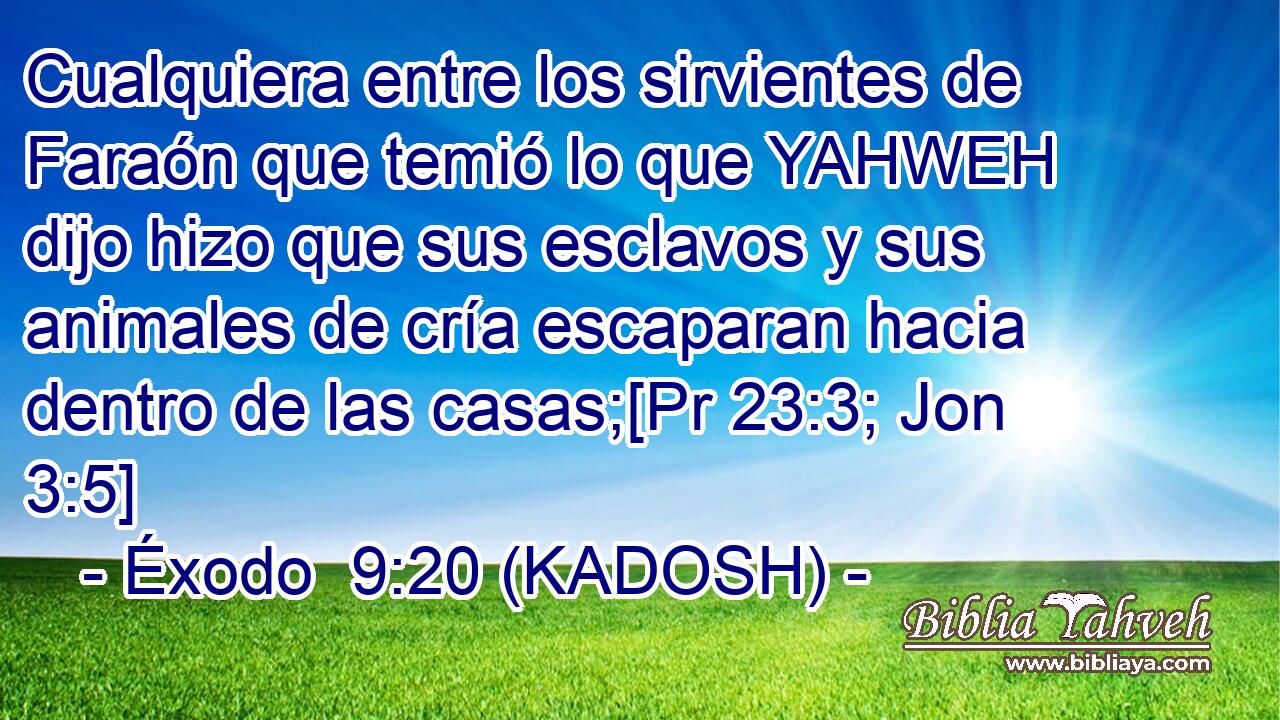  Cualquiera entre los sirvientes de Faraón que temió lo que YAHWEH dijo hizo que sus esclavos y sus animales de cría escaparan hacia dentro de las casas;[Pr 23:3; Jon 3:5] 
